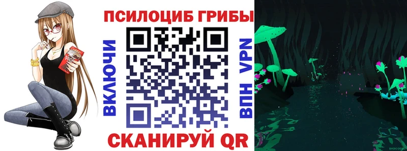 Псилоцибиновые грибы Magic Shrooms  Железногорск-Илимский 